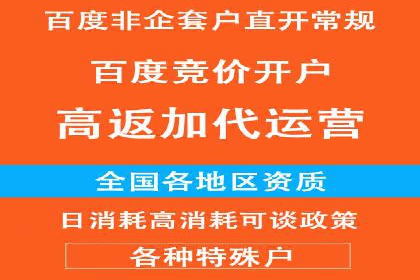 竞价广告的深度解析：以一知名品牌为例